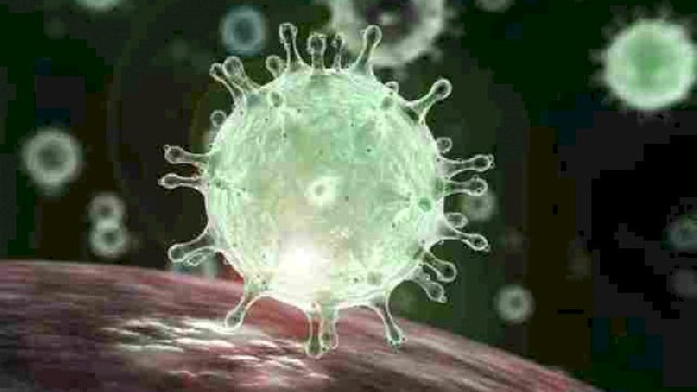 Koronavirusun bitəcəyi tarix - Bill Qeyts açıqladı