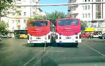 Bakı Nəqliyyat Agentliyi avtobus sürücüsü axtarır
