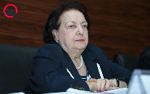 Elmira Süleymanova hesabat verdi