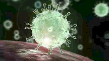 Koronavirusun bitəcəyi tarix - Bill Qeyts açıqladı