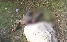 Zəngilanda erməni xüsusi təyinatlıları darmadağın edildi - Video