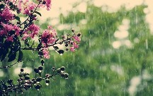 Şimşək, yağış, 25° isti - Sabahın havası