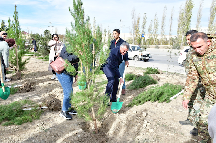 Abşeron rayonunda “Heydər Əliyev İli” çərçivəsində genişmiqyaslı ağacəkmə aksiyası keçirilib - FOTOLAR